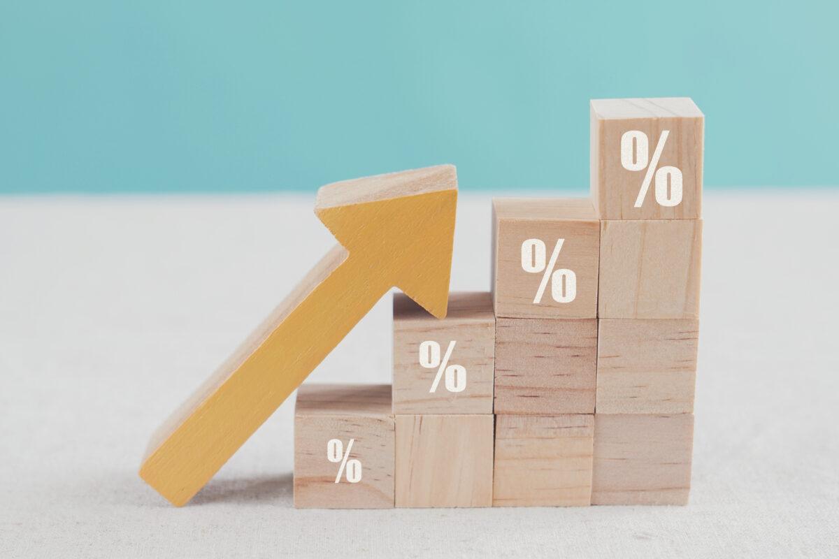 Precificação e margem de lucro: aprenda a calcular!